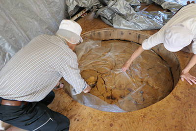 Quality miso in barrel in Ishikawa, Japan (November 2019)