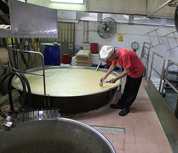 Soy sauce manufacturer in Sheung Shui, Hong Kong (September 2019)