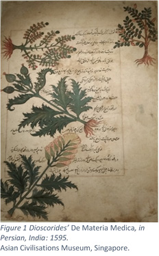Figure 1 Dioscorides’ De Materia Medica, in Persian, India: 1595. Asian Civilisations Museum, Singapore.